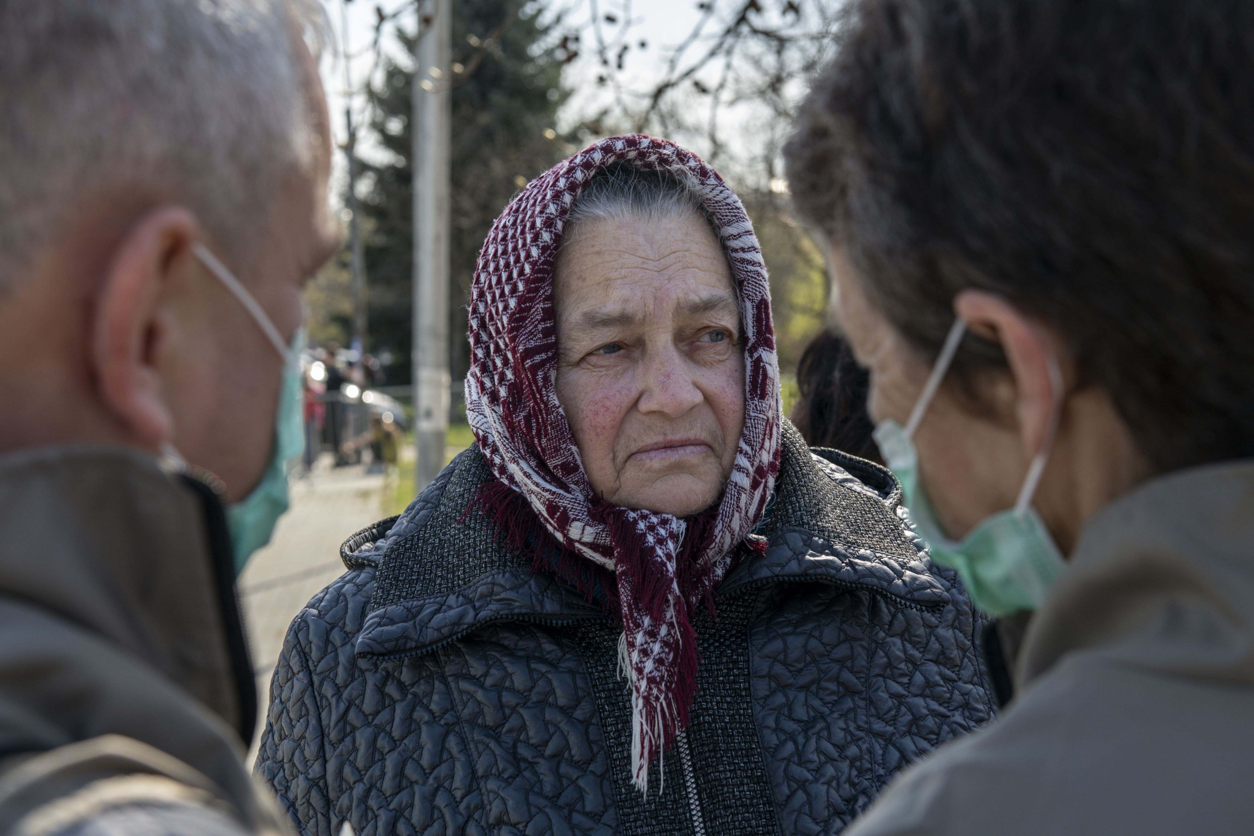 green snake on brown branch close-up photo