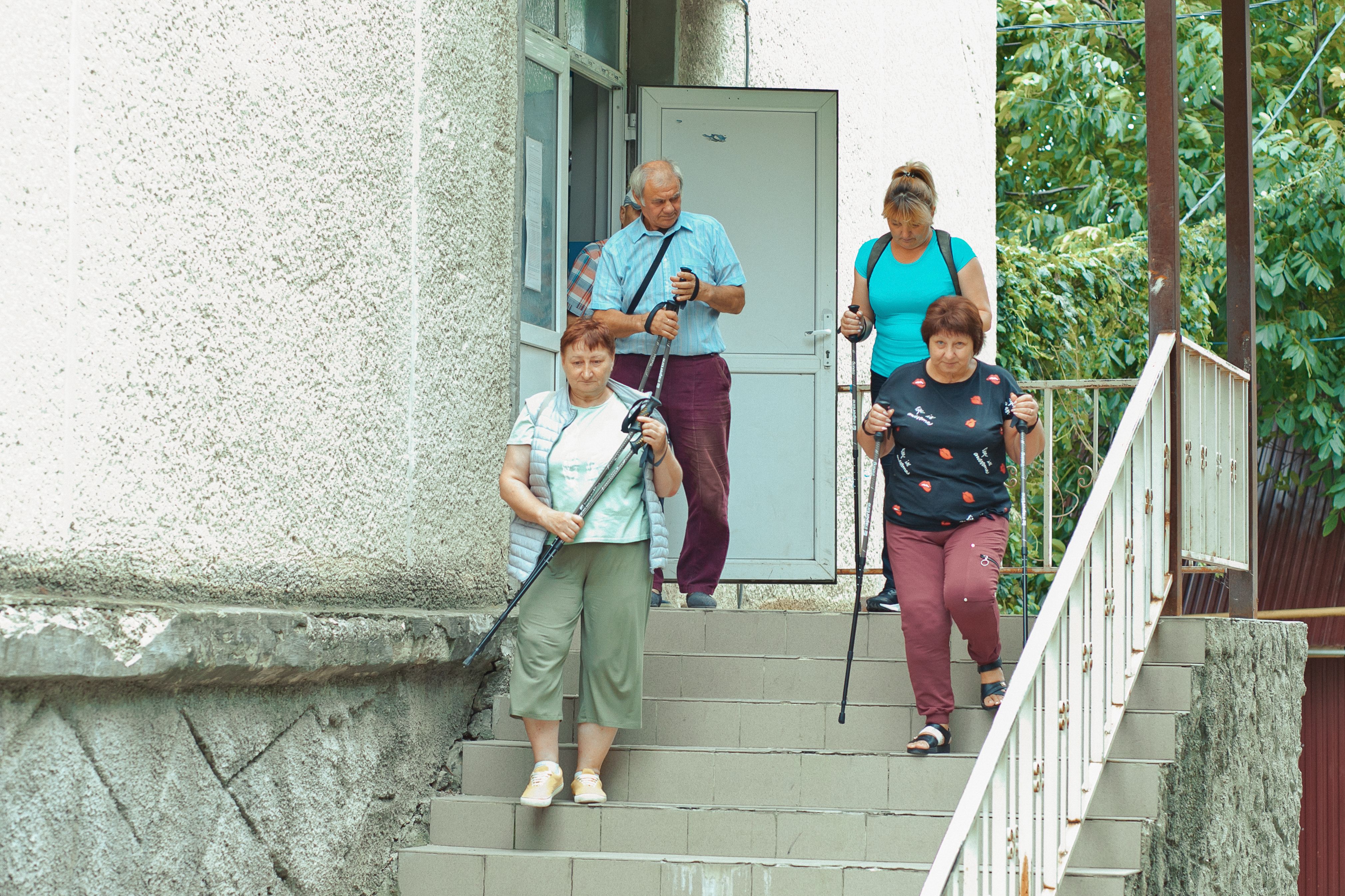 walking camels in line during daytime