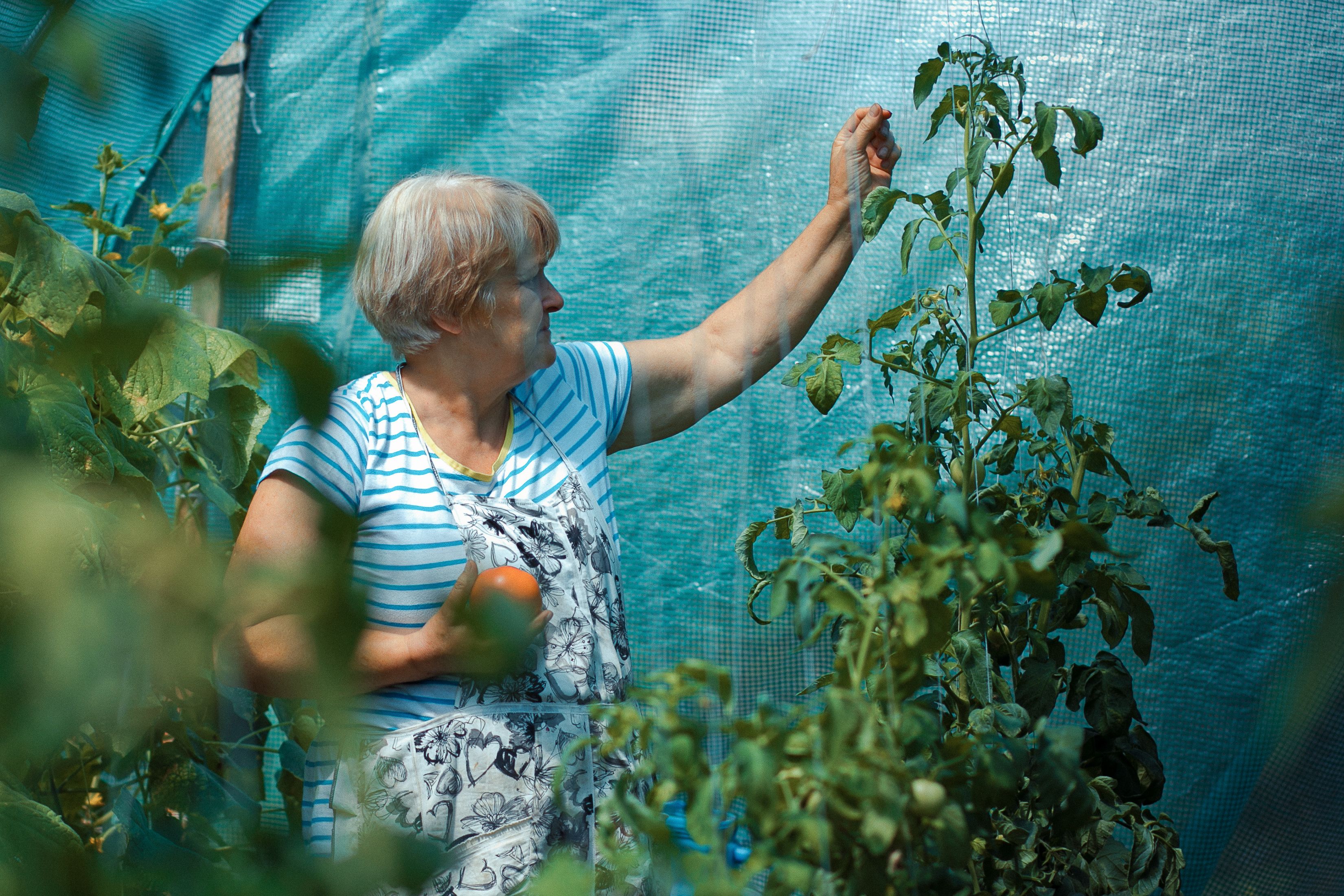 two people standing on top of hill