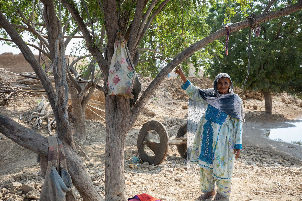 Older woman pointing to a tree. 