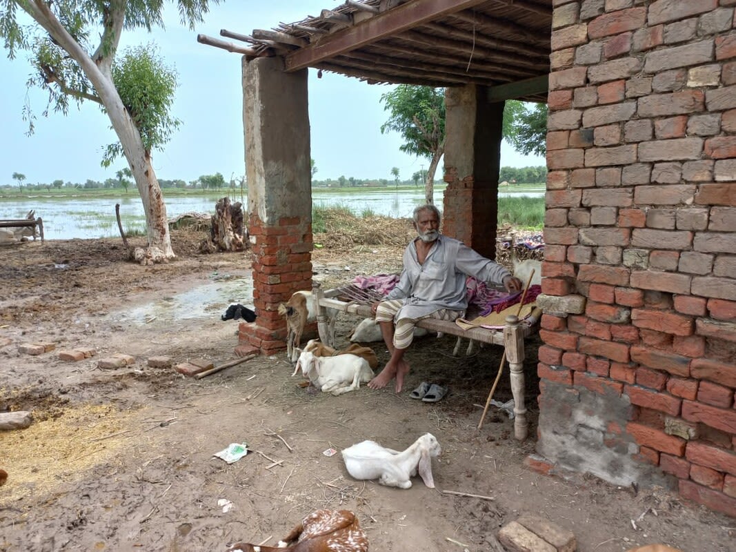 Older man surveying flood damage. 