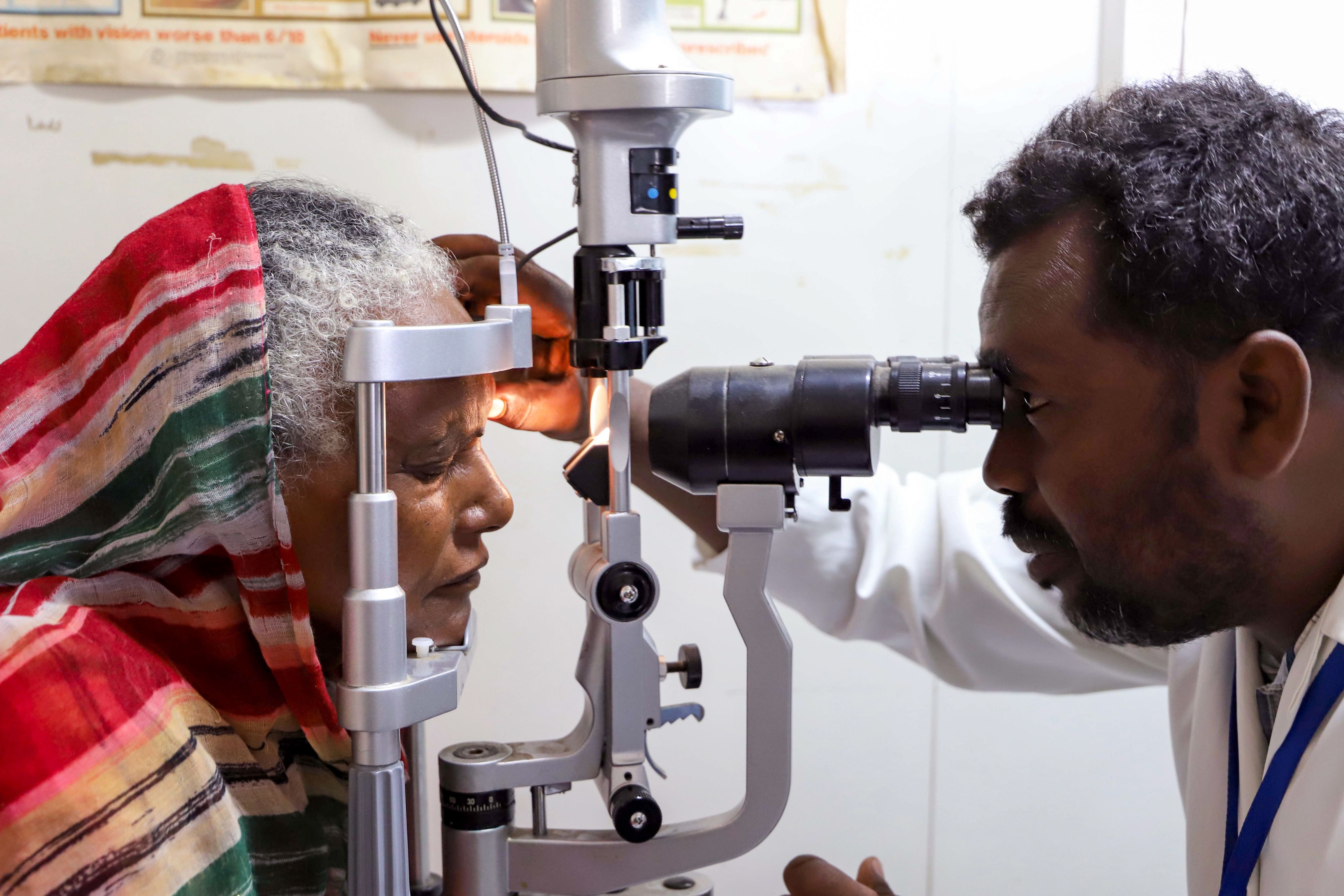 walking camels in line during daytime
